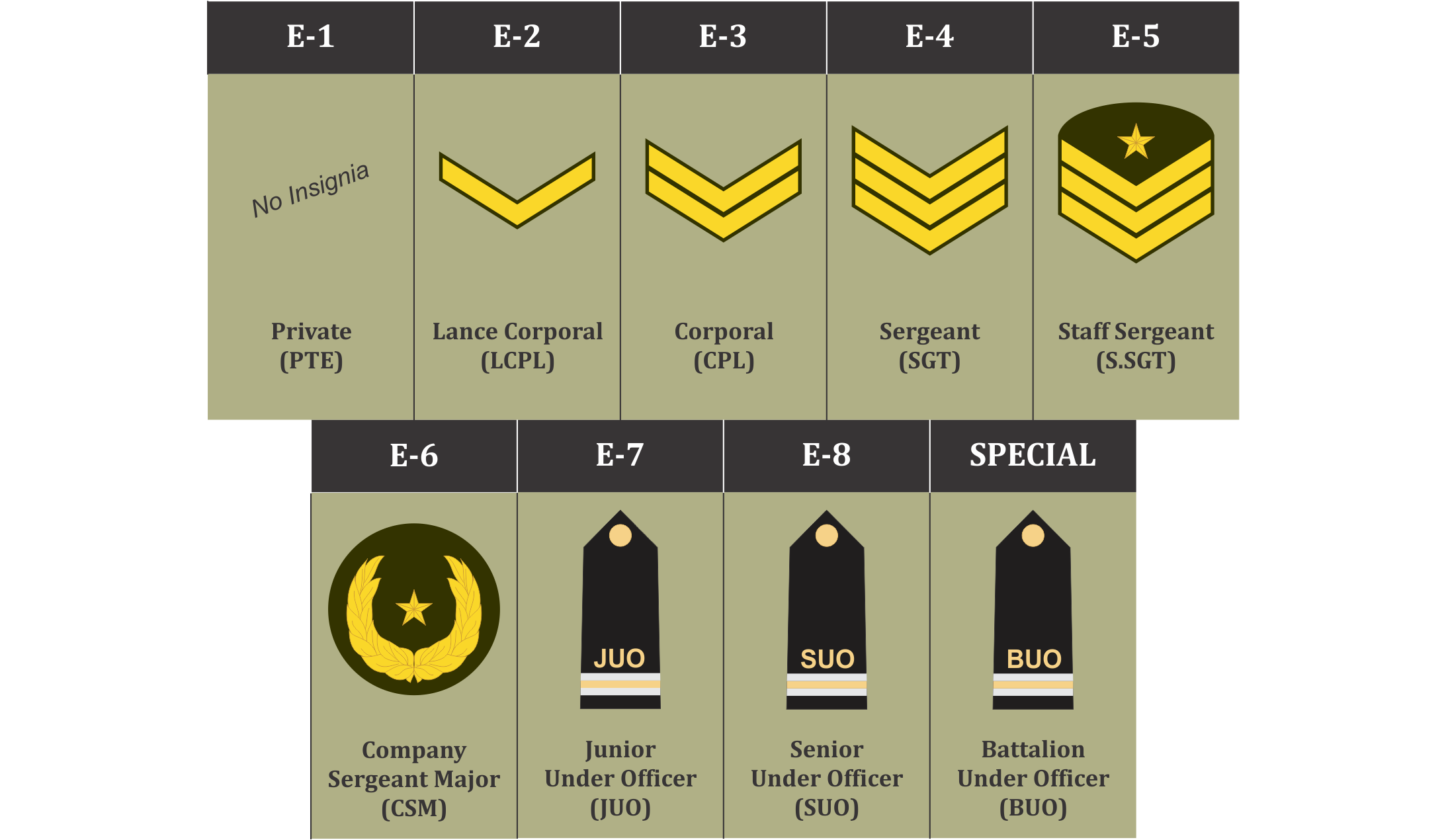 Maldives National Cadet Corps